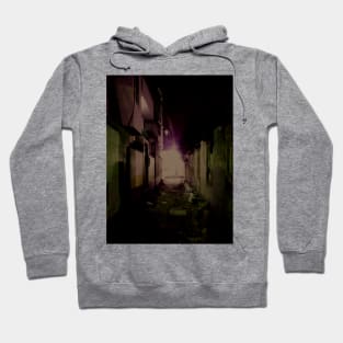 Call of light. Hoodie